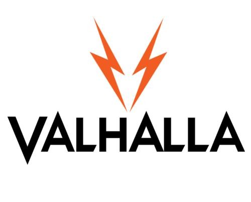 Viking Valhalla Pool Cue VA902 Billiards Stick! Lifetime Warranty!